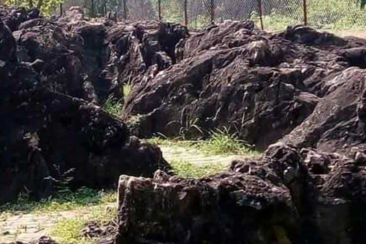 same day trip to salkhan fossils park with Lakhaniya cave painting from Varanasi